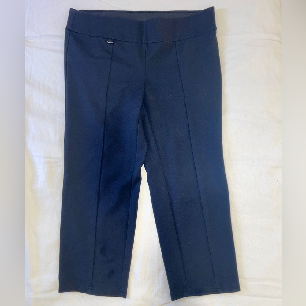 Avenue formal dress Pants size 14/16 Petite Spandex Waist